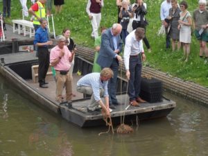 tewaterlating 1e wilgentenen bol en mosselkrat 11 mei 2016 door Kees Geldof en Constantijn Jansen op de Haar