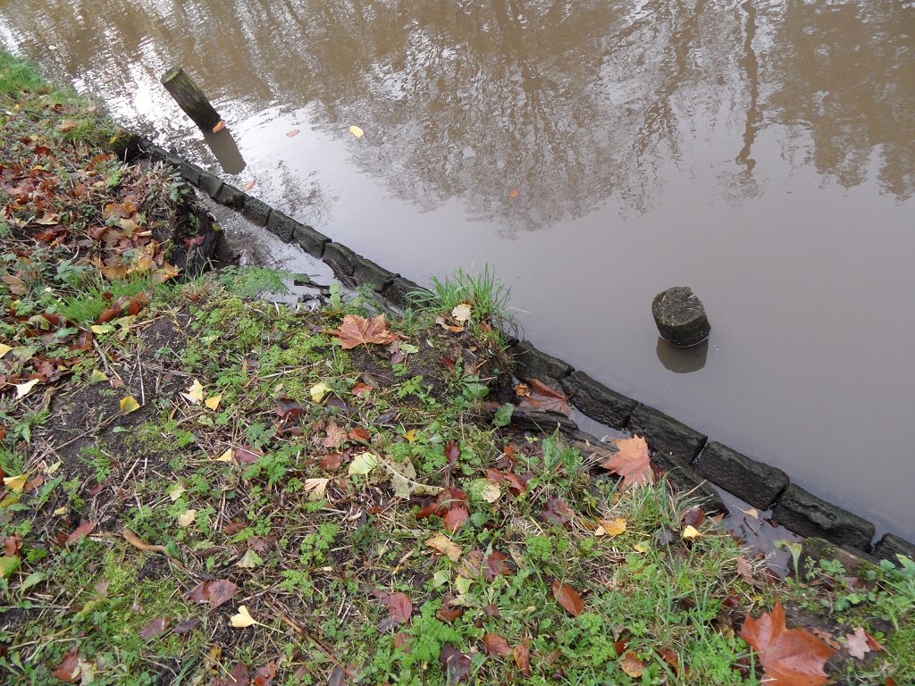 Maliesingel, oude oever met palenrij