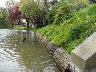 Vergroening Singel Utrecht