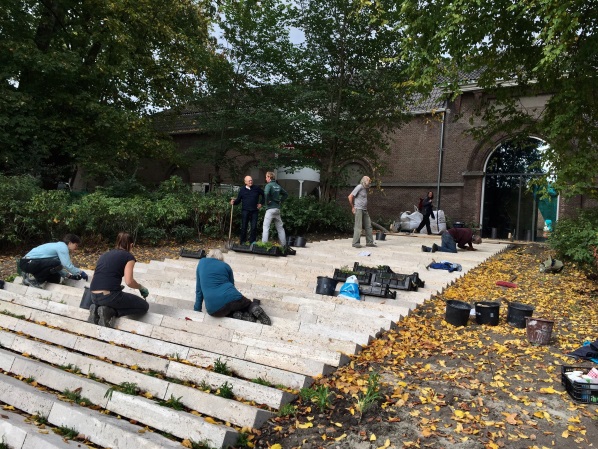 inplanten voegen door vrijwilligers, okt 2018