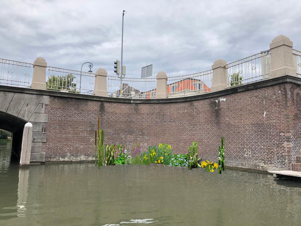 sfeerbeeld onderwaterstructuren met beplanting bruggenhoofd Wittevrouwenbrug 