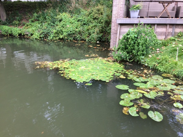 luwe hoek Wittevrouwenkade en Wolvenplein, aug 2018