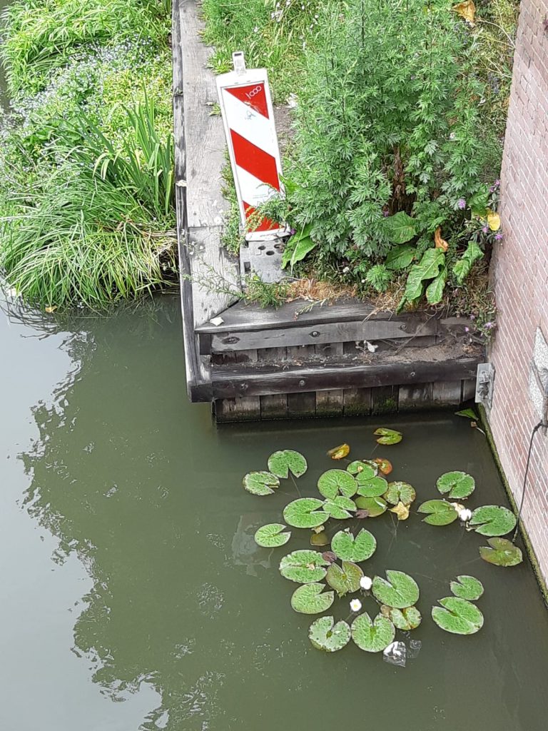 luwe hoek Van Asch van Wijckbrug